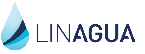 Linagua Logo